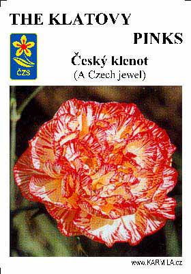A Czech jewel pinks