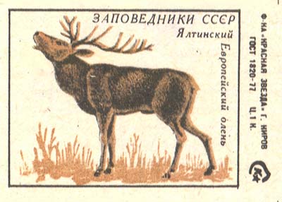 European deer